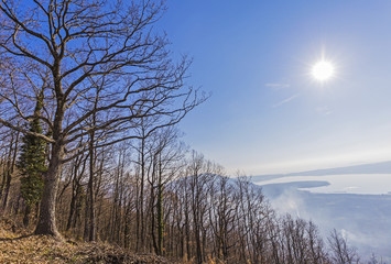 Fototapeta premium Woods Lake Vico in Italy