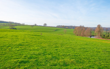 Sunny meadow on a hill in winter
