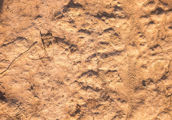 soil texture