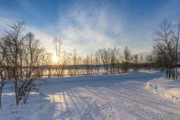 Snowfield with bare trees during sunrise