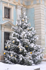 Christmas tree big in the snow