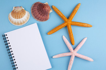  greeting card with shells and starfishes and place for text