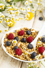 Granola with berries