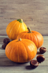 Pumpkins and nuts