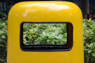 Beautiful Plants Through a Rubbish Bin