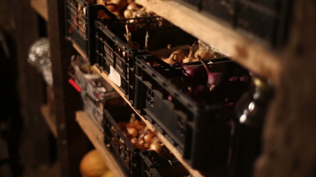 Vegetables in boxes are on the shelves in the cellar
