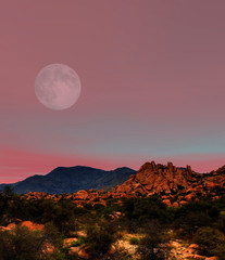 Sonora Desert Moon
