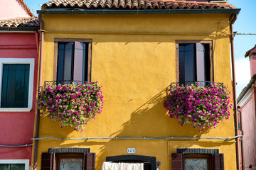 Colorful flower boxes on a yellow Burano house