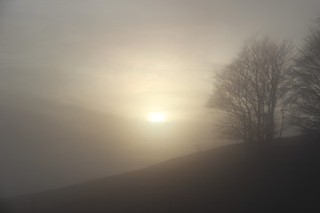 Brouillard sur le plateau du Retord