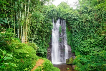 Foto op Plexiglas The highest waterfall in Bali © artifirsov