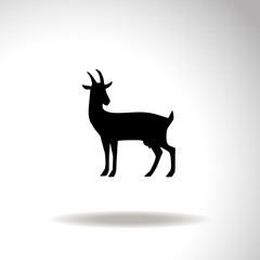Goat. Vector illustration