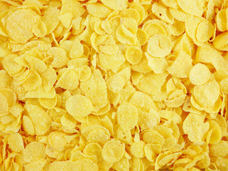 The close up of tasty golden corn flakes.