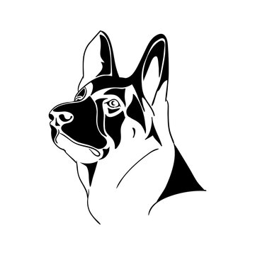 recommend clip art: Portrait German Shepherd dog - black and white vector illustration