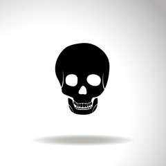Skull vector icon.
