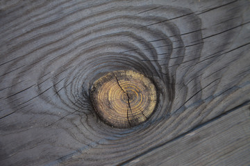 Wood old gray texture background, yellow speck on a wooden board 