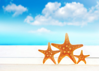 Starfish on the summer beach.