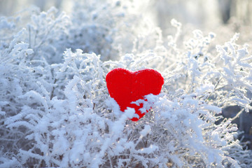 Hand made heart shape in the winter