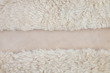 Fototapeta na wymiar wool sheep closeup
