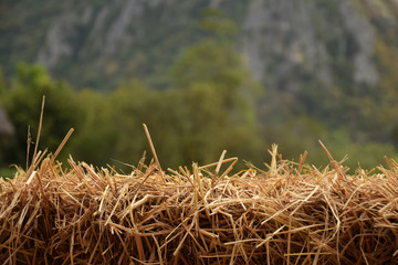 empty Stack of Hay bale over farm and mountain background (for product display)