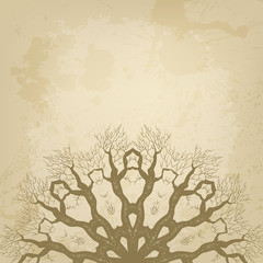 Abstract vector background. Beautiful lace arabesque