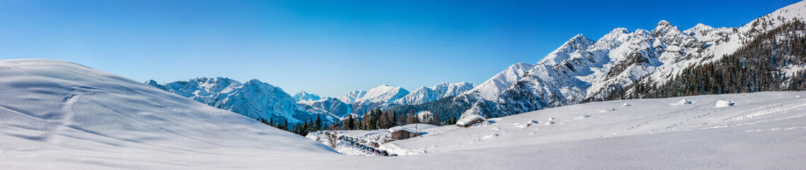 Naklejka premium Panoramic on the snow