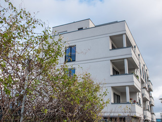 Tangled Shrub in front of Low Rise Apartment