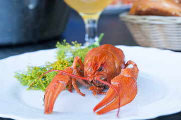 A boiled crayfish served on a white plate decorated with dill flowers