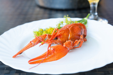 A boiled crayfish served on a white plate decorated with dill flowers