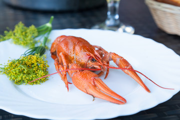 A boiled crayfish served on a white plate decorated with dill flowers