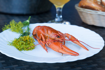 A boiled crayfish served on a white plate decorated with dill flowers