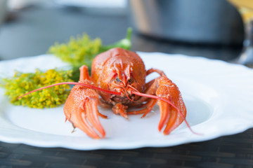 A boiled crayfish served on a white plate decorated with dill flowers