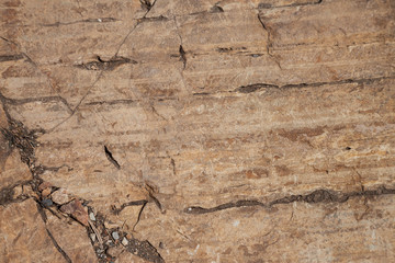 Surface of the rock stone with brown tint texture background