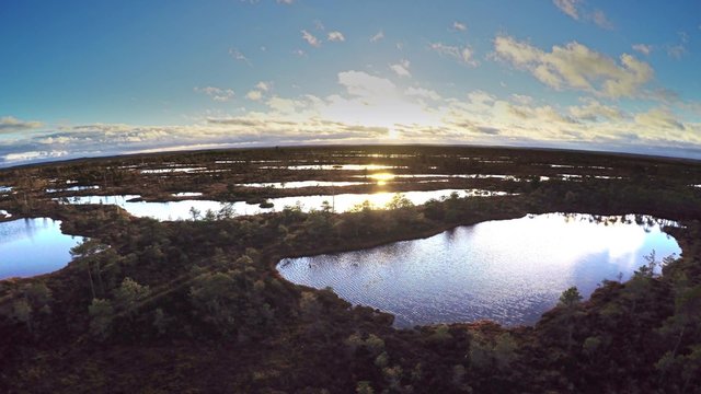 Kemeri swamp landscape in Latvia