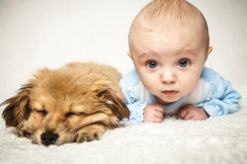 kleiner Hund mit Baby
