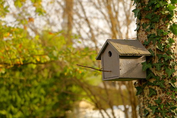 Nichoir en contre-jour