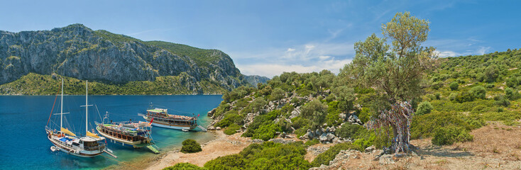 Fototapeta na wymiar tourist boats at an island with old olive tree