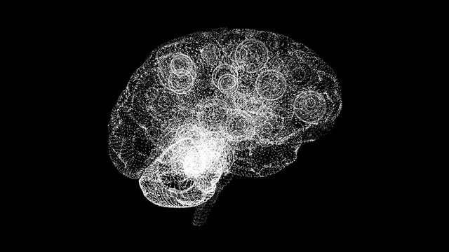 X-ray mechanical brain illustrating artificial intelligence