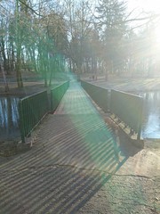 Most w promieniach słońca