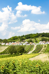 Fototapeta na wymiar wine cellars with vineyards, Galgenberg, Lower Austria, Austria