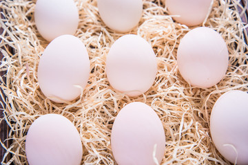 Farm fresh white eggs