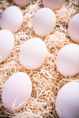 Farm fresh white eggs