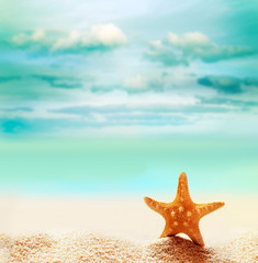 Naklejka na ściany i meble Starfish on the summer beach.