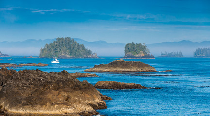 The Wild Pacific Trail located in the District of Ucluelet