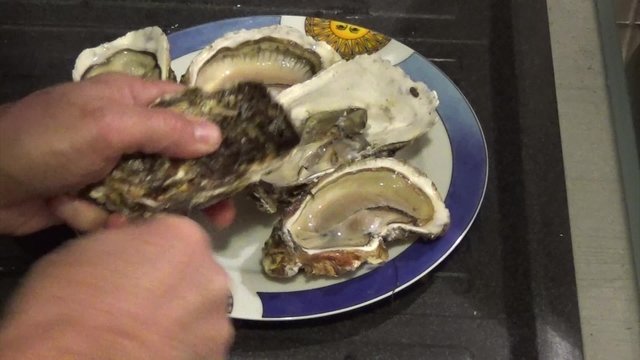 opening oyster over dish