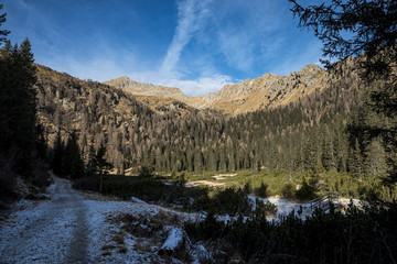 Fototapeta na wymiar Panorama alpino