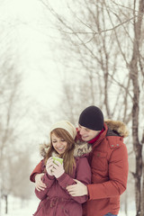 Fototapeta premium Snowy day