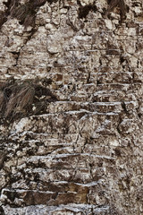 Sedimentary rocks background