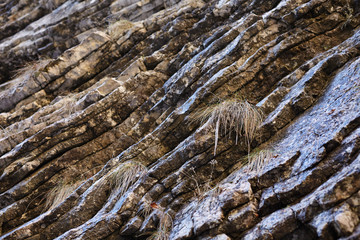 Sedimentary rocks background