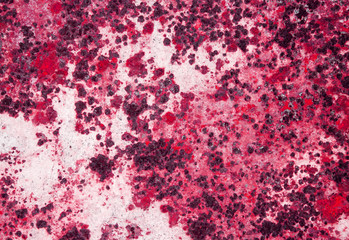 Designed grunge paper texture