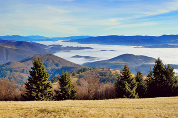 Winter sunny day panorama with trees and inversion